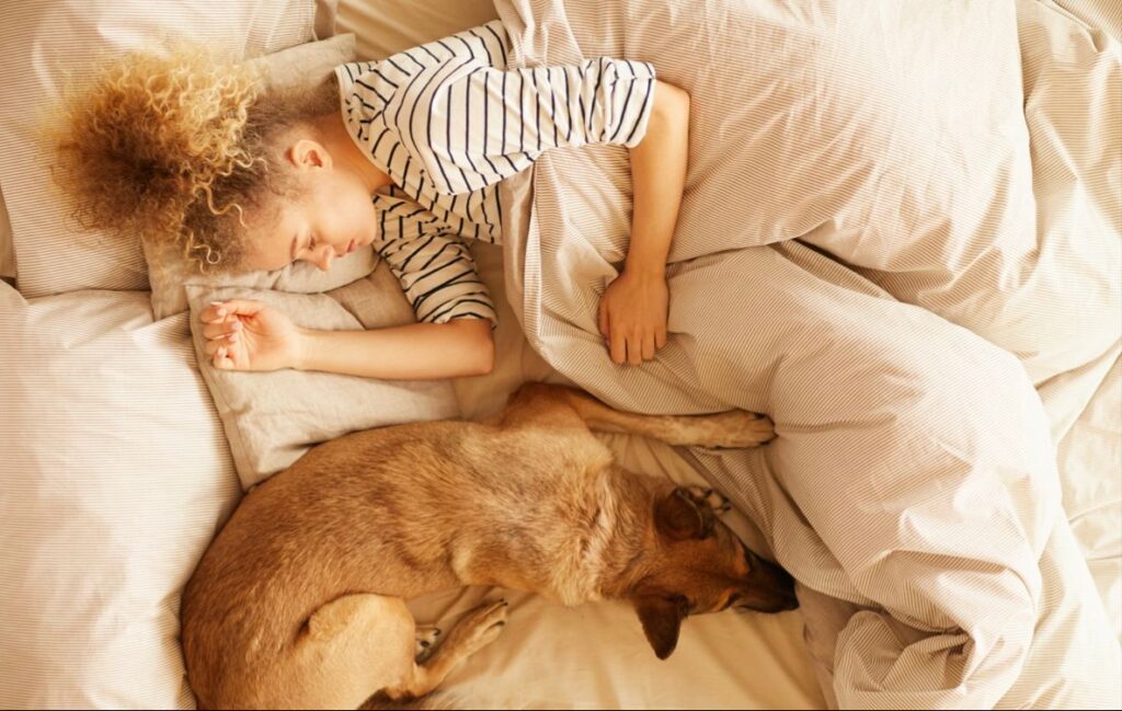 Immagine illustrativa di dormire, cane, gatto:
